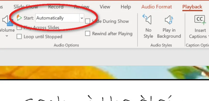 screenshot of presentation software